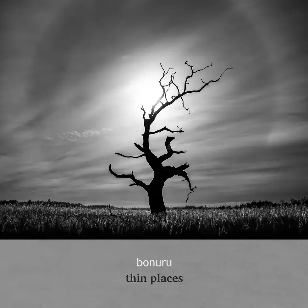 This is album cover for Bonuru's Thin Places LP on the Blue Adventure label. It shows a black and white photo of a silhouetted tree against a bright sun in a cloudy sky in the middle of a grassy field. Text reads "bonuru thin places." The picture has a slightly moody atmosphere.