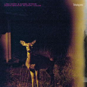Lake Mary & Daniel Wyche - Deer's Breathe In Every Color (Laaps)