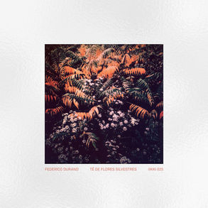 The cover art for Federico Durand's, Té De Flores Silvestres album, showing lush ferns with orange hues above a cluster of small white flowers. Text: Federico Durand, Té de Flores Silvestres, IIKKI 025. Surreal mood.