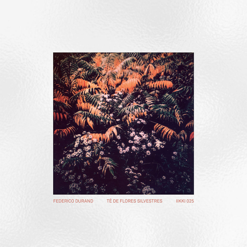 The cover art for Federico Durand's, Té De Flores Silvestres album, showing lush ferns with orange hues above a cluster of small white flowers. Text: Federico Durand, Té de Flores Silvestres, IIKKI 025. Surreal mood.