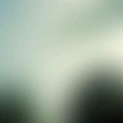 lebenerde - louia (Self Release)