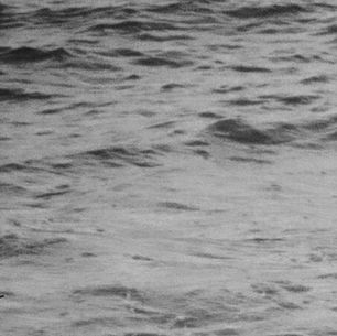 The cover for Canadian musician and produder Isabel Pine's Where the Flowers Grow album, showing a black and white image of calm ocean waves with no visible subjects. The water texture is emphasized, creating a serene mood.