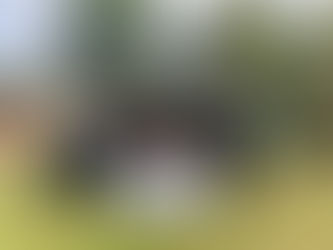 What's Happening at FBC October 13