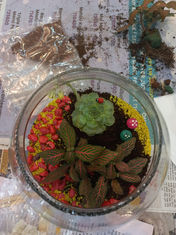 TerrariumWorkshop-9.jpeg