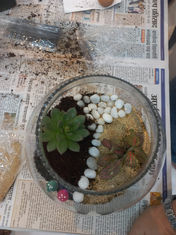 TerrariumWorkshop-8.jpeg