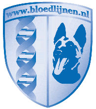 Bloedlijnen.nl
