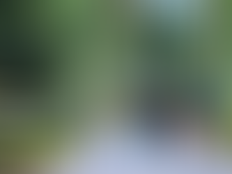 Salud Pública de Kitsap lanza campaña de inmunización