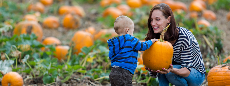 A mom and young son enjoy a pumpkin patch.
