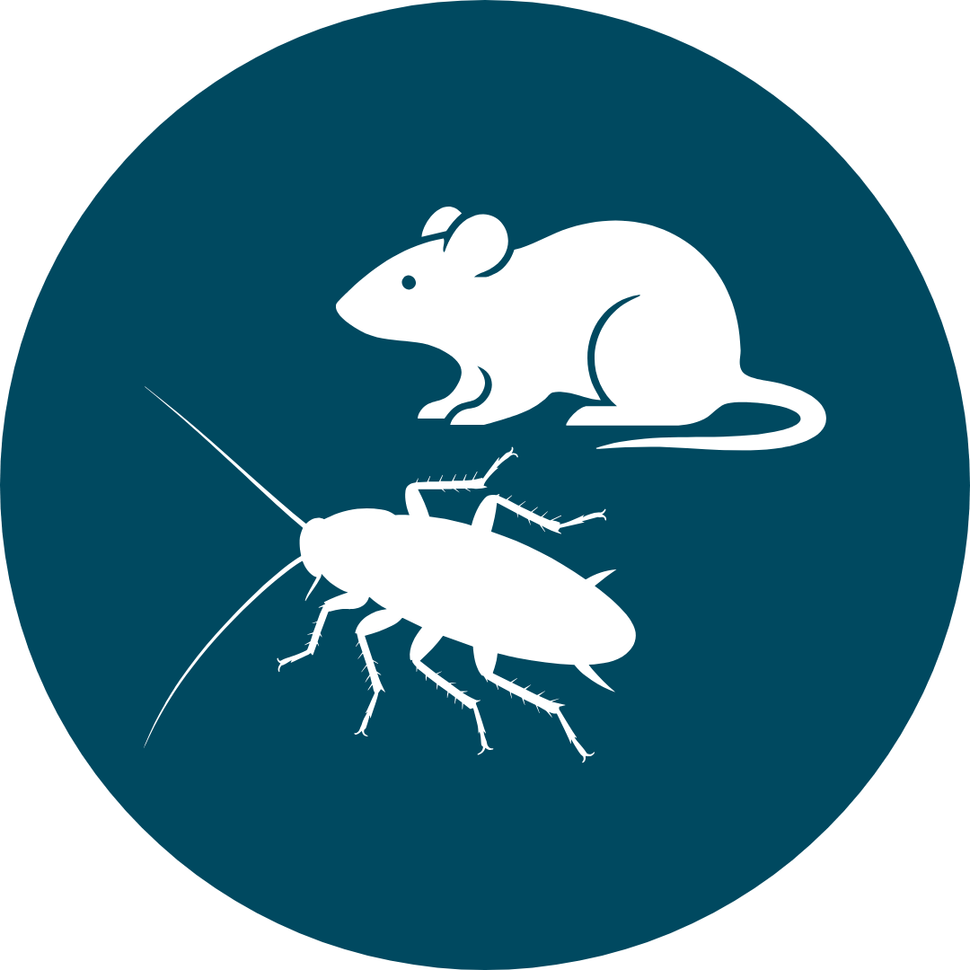 icon of a rate and cockroach