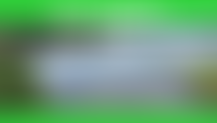 Se levanta la alerta de cianobacterias para Kitsap Lake