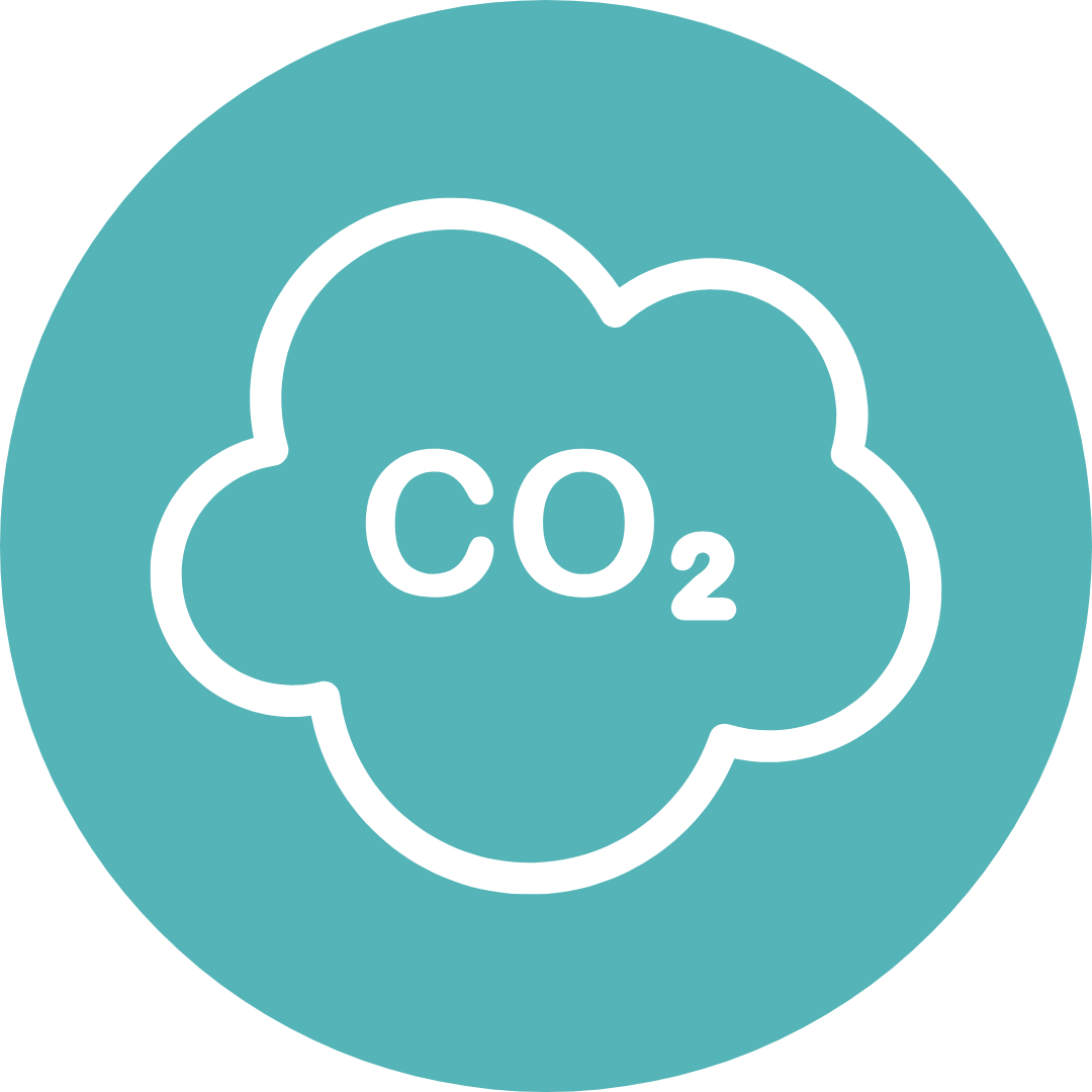 carbon monoxide teal icon