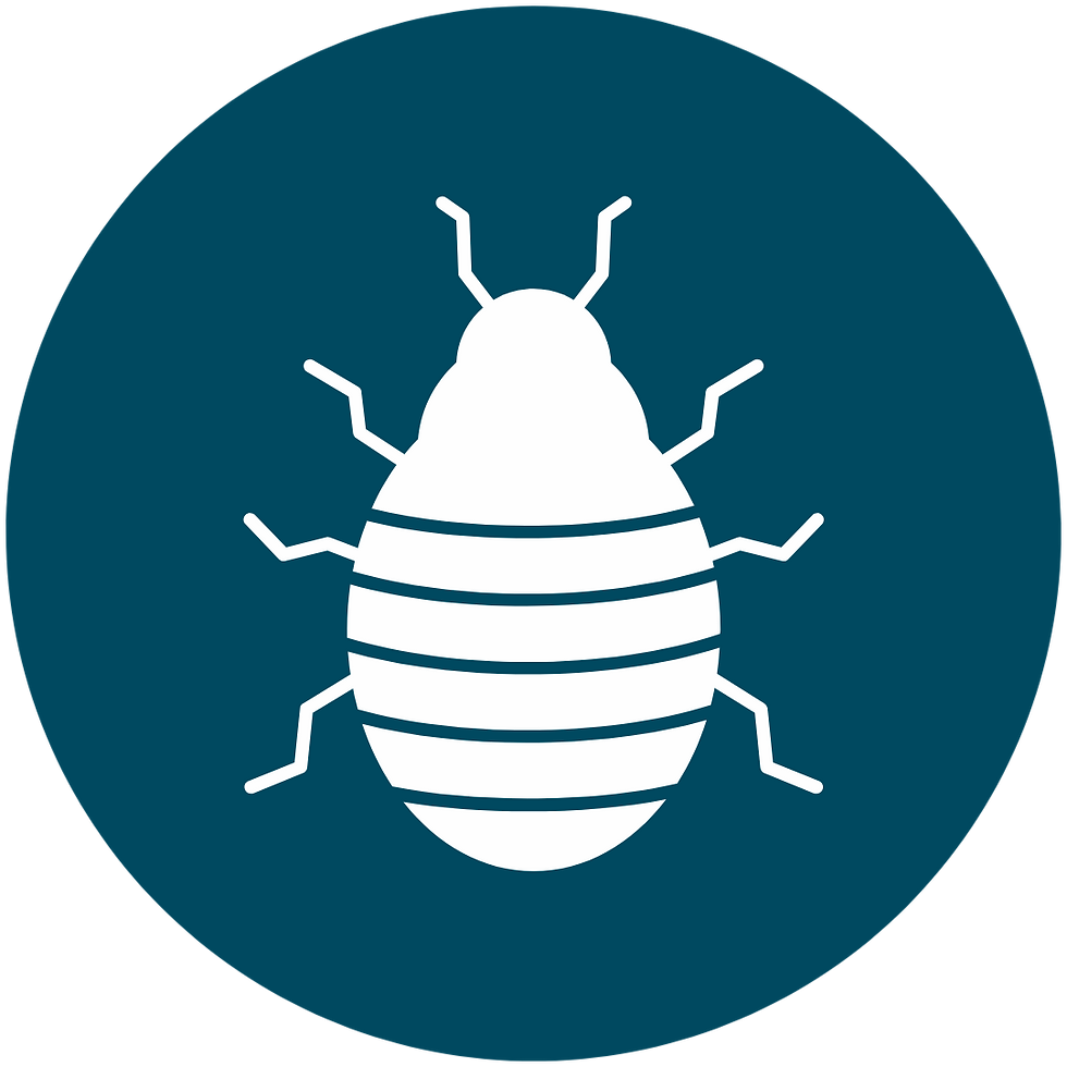 bedbug icon