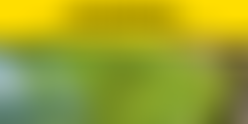 Cyanobacteria Warning