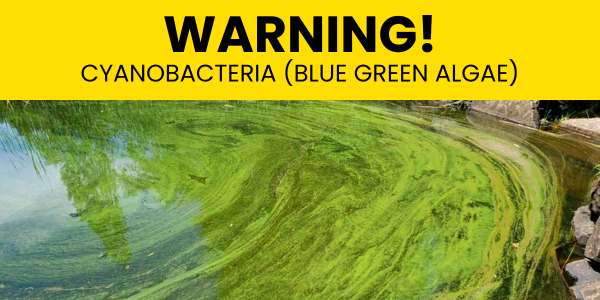 Cyanobacteria Warning