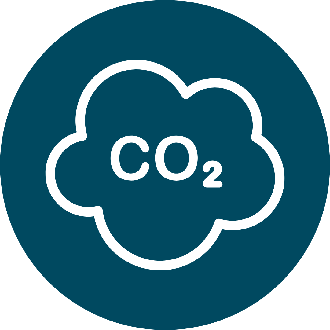 carbon monoxide icon