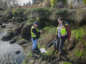 Salud Pública de Kitsap comenzará a recolectar muestras de agua a lo largo del Pasaje Colvos esta semana