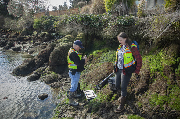 Salud Pública de Kitsap comenzará a recolectar muestras de agua a lo largo del Pasaje Colvos esta semana
