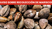 AVISO SOBRE RECOLECCION DE MARISCOS