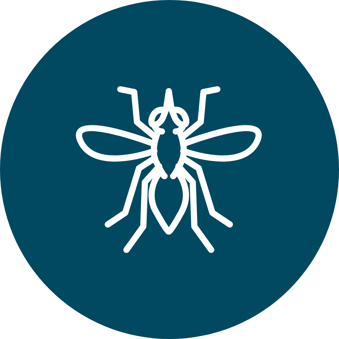 mosquito icon