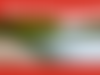 Red banner reading SWIMMING BEACH ADVISORY above a calm lake beside a wooden dock and green trees.