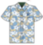 Limited Edition Brujos 2026 Hawaiian Shirt