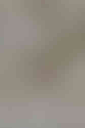 Amsterdam luxury weddingplanner L'Étoile Weddings 