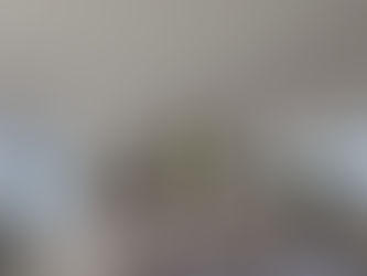 Decarbonisation Office Refurbishment Approaching Completion