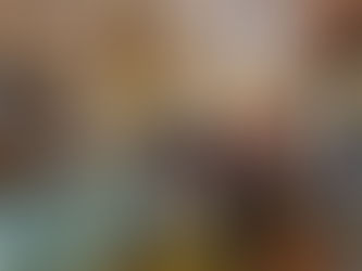 A visit at the museum