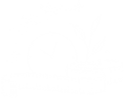 IMG_7055.PNG