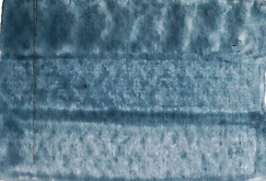 DSC00460_edited_edited.png
