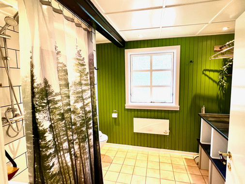 Badeværelse med brusebad og grønne vægge i Rævehuset.