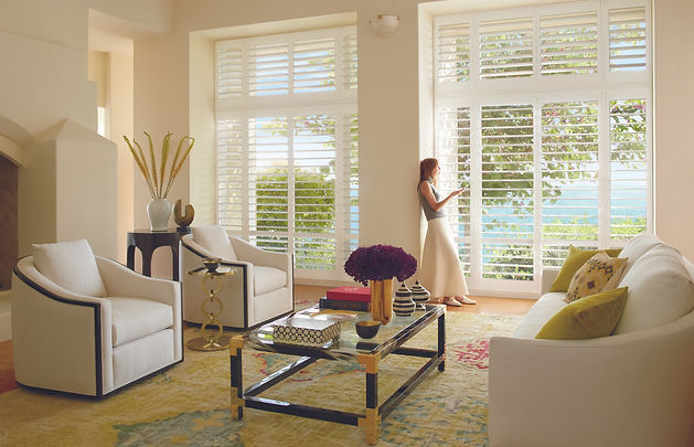 2018_PB_PV_Living Room_Model - Copy (2).jpeg
