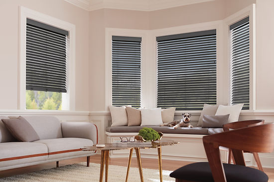 Modern dark horizontal blinds in a bright living room, Dallas PA