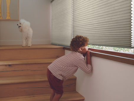 A child and their fluffy companion enjoy the view through child-safe, cordless cellular window treatments.