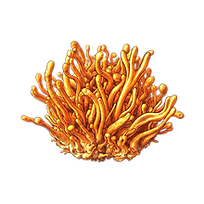 Cordyceps 2_edited.png