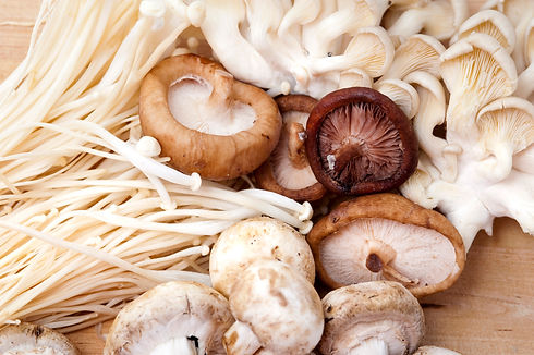 mushroom_variation.jpg