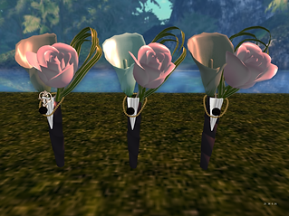 Snapshot_053.png
