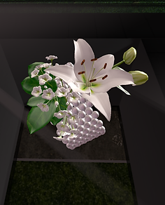Diamond with Product_038 - Copy.png