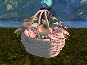 Snapshot_052.png