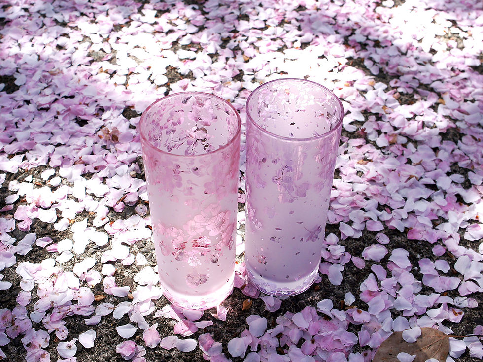 サムネイル： 桜ひらひらロングタンブラー【限定2色組】