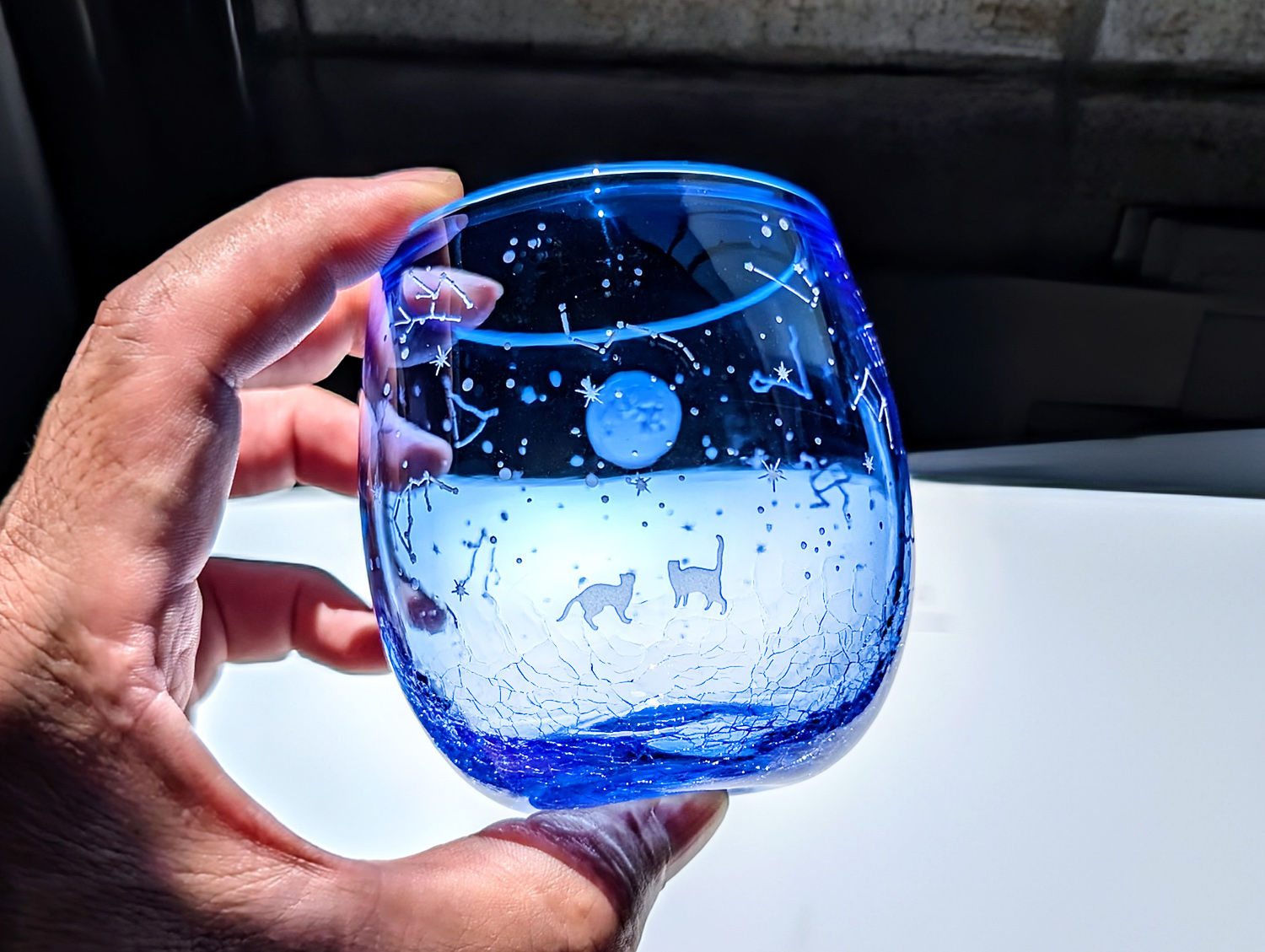 コロッと澄夜の猫物語【爽青】