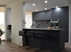 Contemporary Kitchen