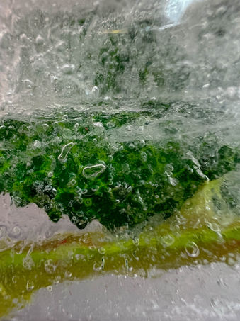 green freeze
