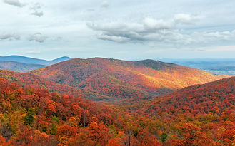 skyline-drive-va_orig.jpg