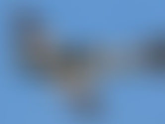 Battle of Britain Memorial Flight - Spitfire