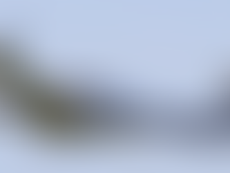 Something a Bit Different