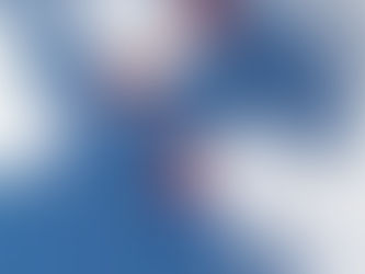 The Greatest Parachute Team on Earth