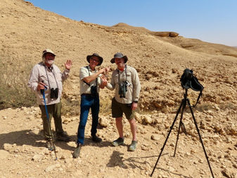 The October 2024 Private Bird Tour with Saudi Birding