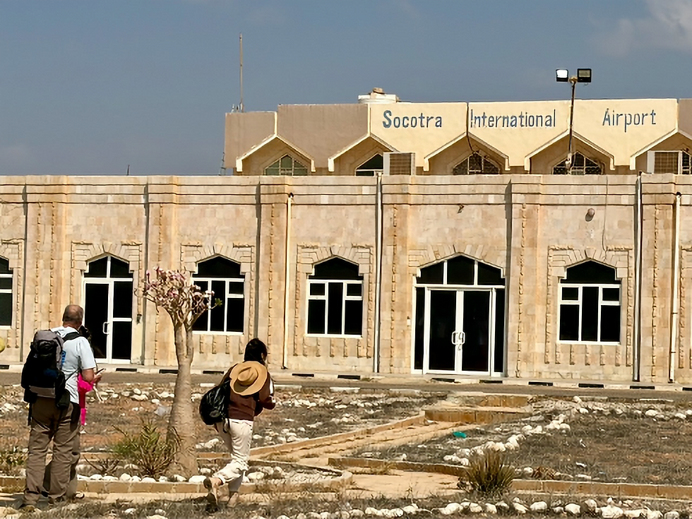 Tourists photograph bottle tree at Socotra International Airport during Socotra Birding Tour