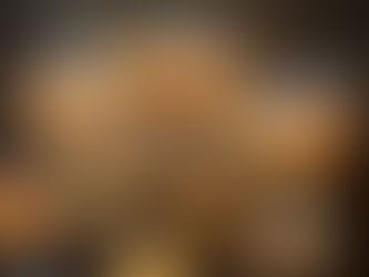 Thon Hotel Brussels ontvangt ons